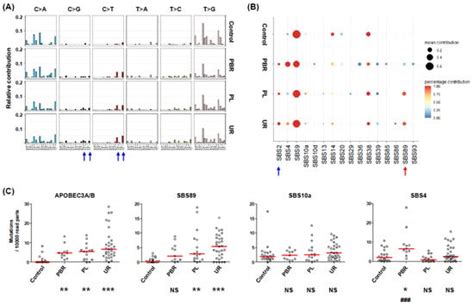 Viruses | Special Issue : Human Polyomaviruses (HPyVs) in Human ...