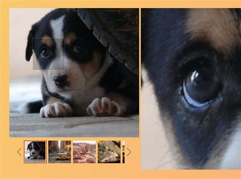 56+ JQuery Image Zoom Plugins - November 2025