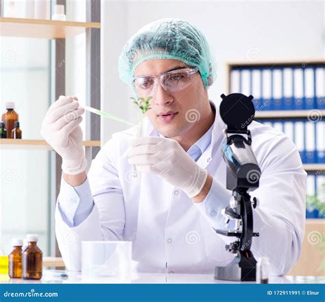 Biotechnology Scientist 的图像结果