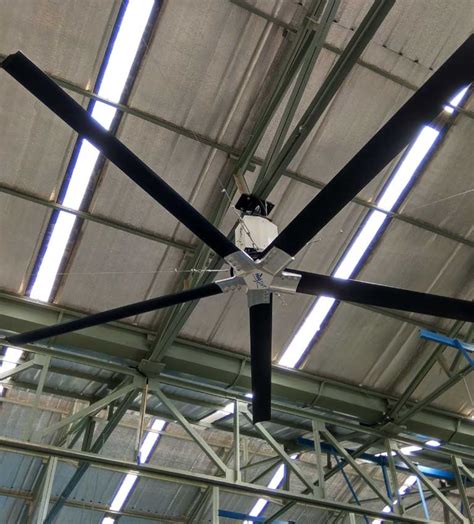 Heli Fan