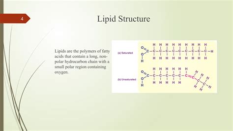 LIPIDS, TRIGLYCERIDES AND CHOLESTEROL AND TYPES OF LIPIDS | PPTX