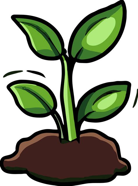 Plant growing png graphic clipart design 23743705 PNG