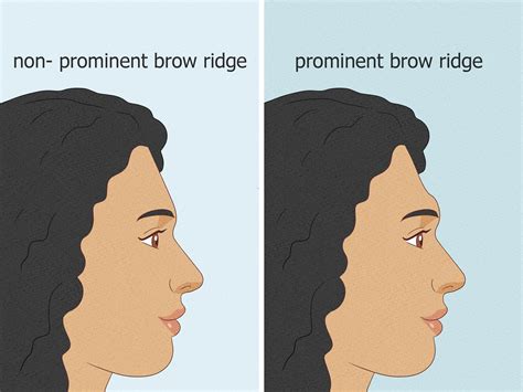 Prominent Brow Ridges: A Sign of Neanderthal DNA?