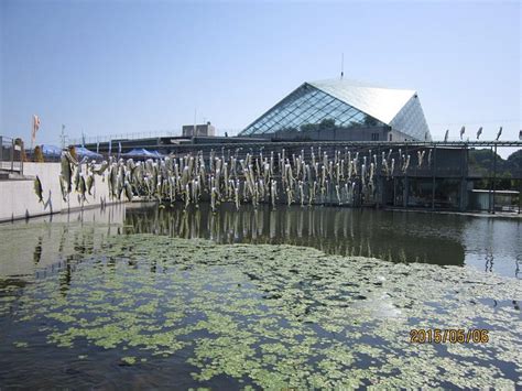 MITSUBACHI MURA KUROBANE SANSO (Otawara) - Pension Reviews & Photos ...