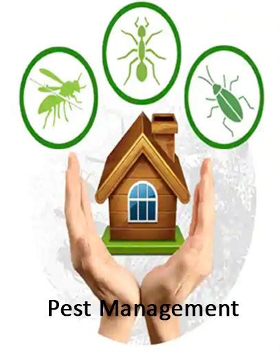 Feather Touch Services | We pledge to empower value of good health