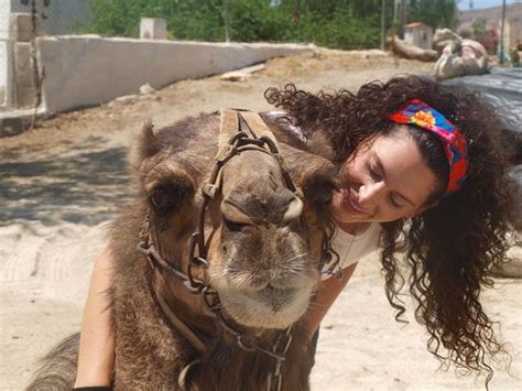 Camelus (Pechina) - All You Need to Know BEFORE You Go