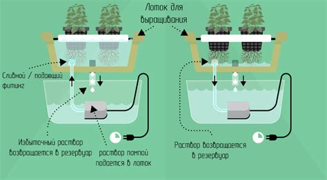 Гидропонная система:🌱 что это такое, виды и устройство