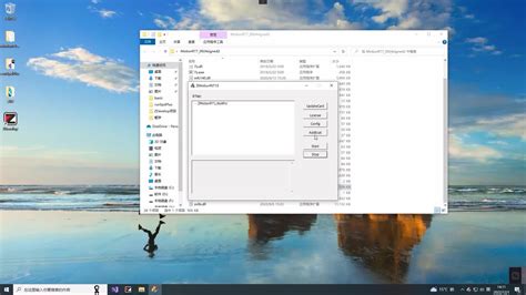 LocalLoop Provider 的图像结果