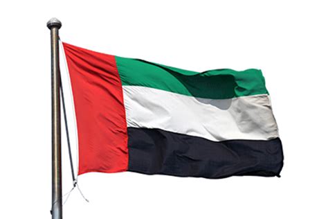 Ready to join US troops in war aginst IS: UAE