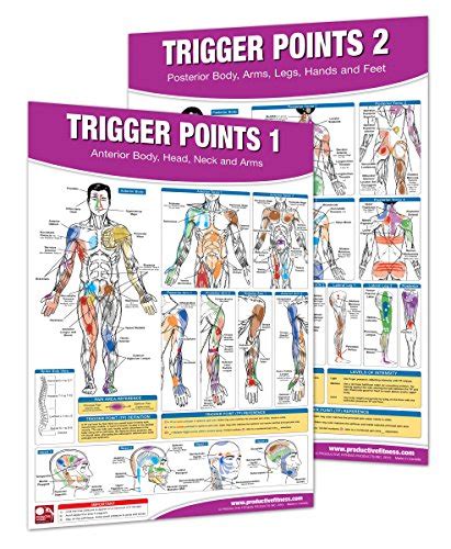 Buy Trigger Point Therapy Chart/ Set; Acupressure Charts - Myofascial ...