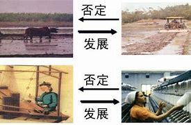 Image result for 不能肯定