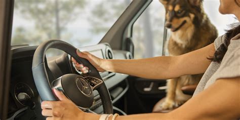 The All-New 2026 Newmar Freedom Aire – Coming Soon to North Trail RV ...