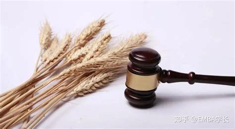 阿里拍卖选地址无效