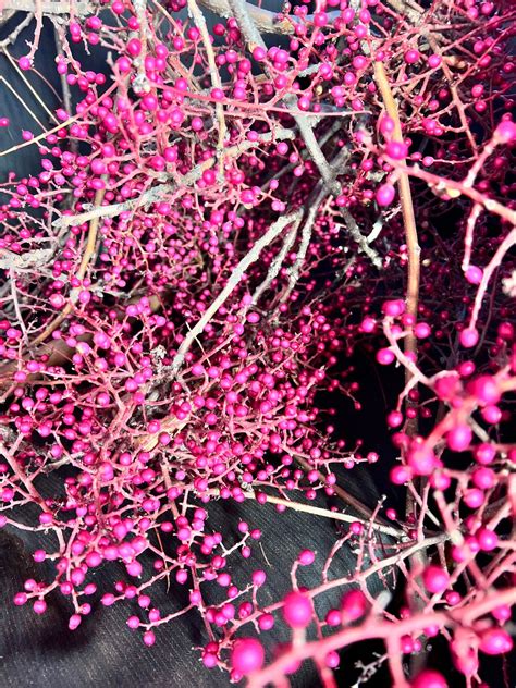 Minco Honey Festival , Minco High School, 6 December 2025 | AllEvents