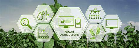 AP State Seeds Developement