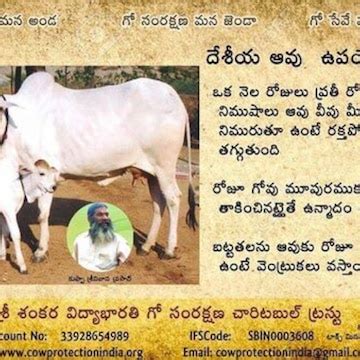Top Animal Welfare Organisations in Hyderabad - Best Ngos For Animal ...