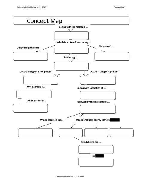 Concept Map 的图像结果