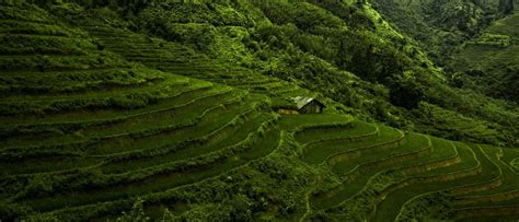 An Ultimate Guide on How to Reach Vietnam from Coimbatore | Pickyourtrail