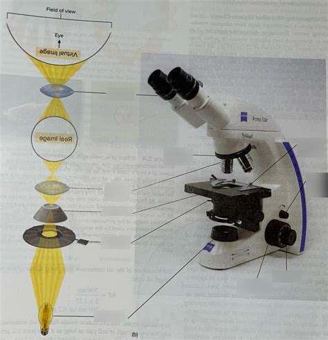 Image result for Microscope Labeled