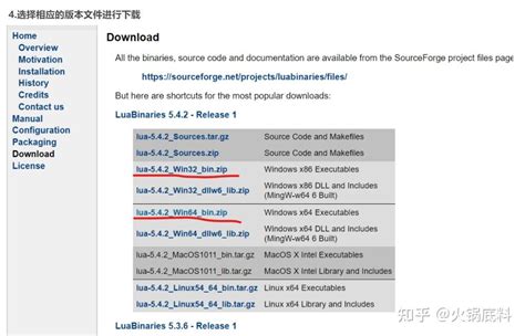 Lua Install 的图像结果