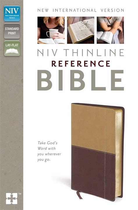 Buy Holy Bible: New International Version, Camel / Burgundy, Italian ...