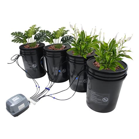 Buy Hydroponics Growing System Garden System 5-Gallon Deep Water ...