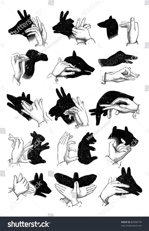 Shadow Puppet 的图像结果