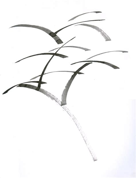 D'source From Seed to Tree | Exercises | D'Source Digital Online ...