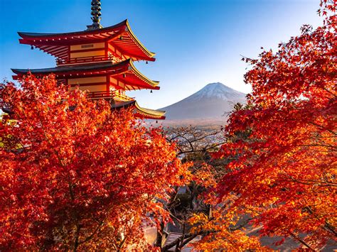 Colorful World 的图像结果