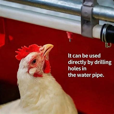 10pcs Spring Poultry Drinking Nipple, Poultry Drinking Water Fountain Dispenser For Chickens ...