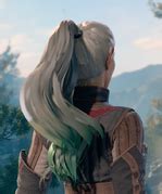 Modding:Custom Hair Highlights - bg3.wiki