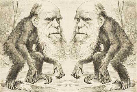 Charles Darwin – RA