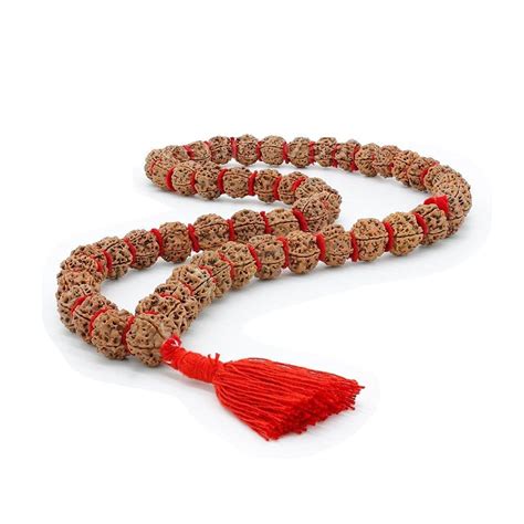 SRT Rudra Natural Original Five Face 5-Mukhi Rudraksha Kantha Mala 54+1 ...