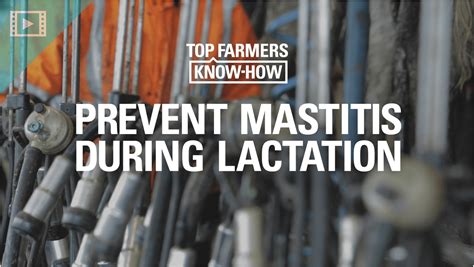Top Farmers Know-How | Prevent Mastitis During Lactation