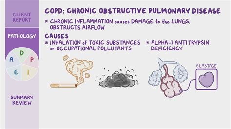 Chronic obstructive pulmonary disease (COPD): Nursing Process (ADPIE ...