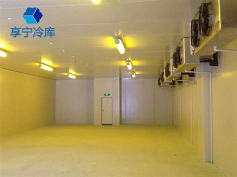 上海医药冷库安装，医药冷库建造配置标准_上海雪艺制冷科技发展有限公司