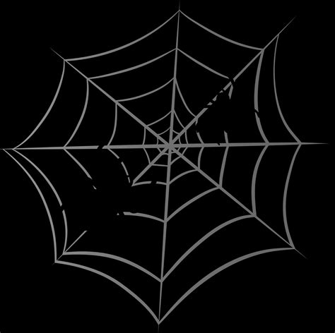 Free Spider Web PNG Images with Transparent Backgrounds - FastPNG.com