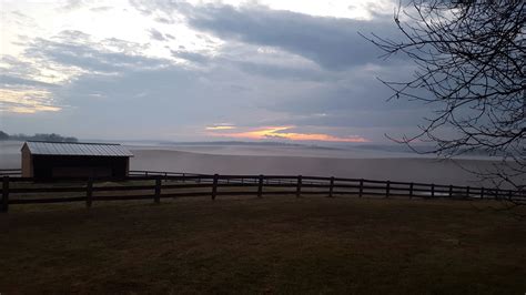 Old Trade 的图像结果