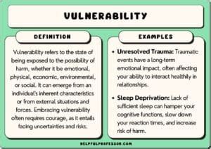 Image result for Vulnerability Examples