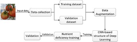 Deep Learning System Overview 的图像结果
