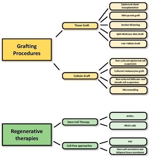 Regenerative Medicine-Based Treatment for Vitiligo: An Overview