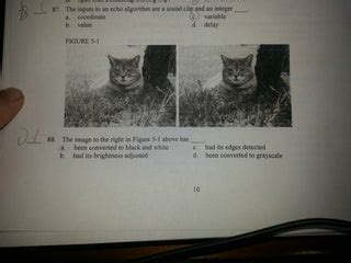 Image result for How to See Cords Java On PC