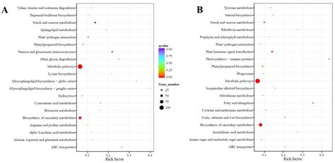 Regulation of Oxalate Metabolism in Spinach Revealed by RNA-Seq-Based ...