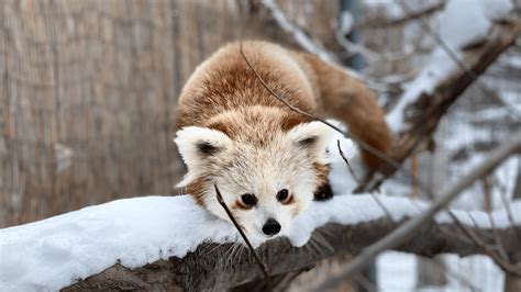 Zoo | Idaho Falls, ID