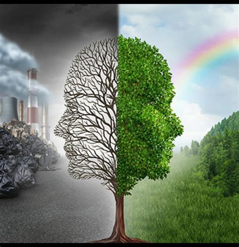 Environment Protection 的图像结果