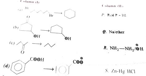 Match the following columns
