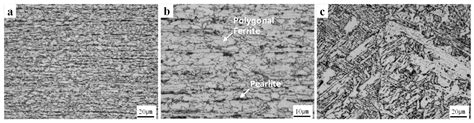 High-Cycle, Low-Cycle, Extremely Low-Cycle Fatigue and Monotonic ...
