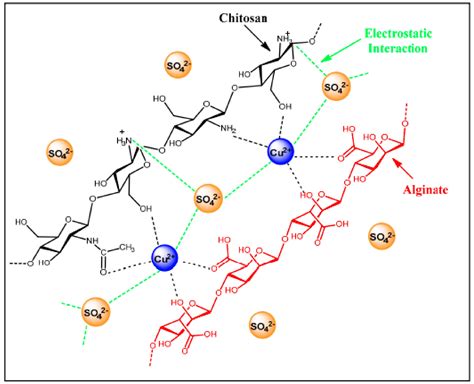 An Overview of Modified Chitosan Adsorbents for the Removal of Precious ...