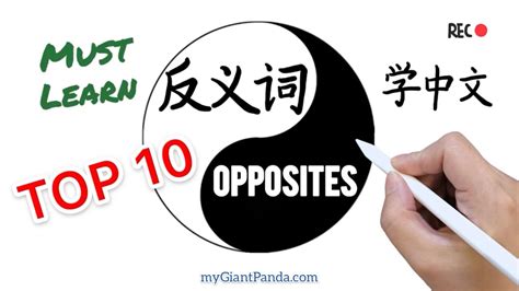 学中文【反义词】Chinese Antonyms 必须学会的10组汉语反义词 Top 10 Must Learn Chinese ...