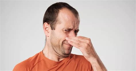 Urologist warns how your 'foul-smelling' urine could signal four health ...